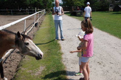 Zakończenie Roku u Radosnych Maluchów w 2013r