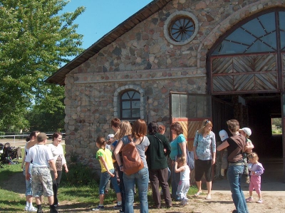 Ostatnia w tym przedszkolnym roku wycieczka Radosnych Maluchów na koniki.