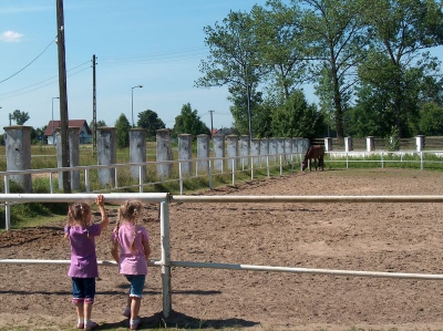 Ostatnia w tym przedszkolnym roku wycieczka Radosnych Maluchów na koniki.