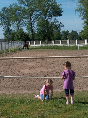 Ostatnia w tym przedszkolnym roku wycieczka Radosnych Maluchów na koniki.