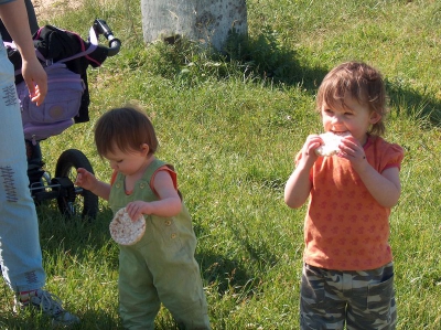 Ostatnia w tym przedszkolnym roku wycieczka Radosnych Maluchów na koniki.