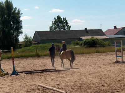 Ostatnia w tym przedszkolnym roku wycieczka Radosnych Maluchów na koniki.