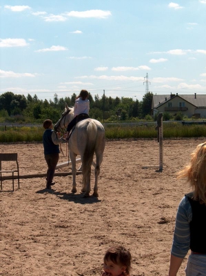 Ostatnia w tym przedszkolnym roku wycieczka Radosnych Maluchów na koniki.