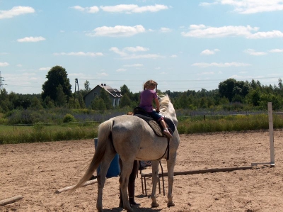 Ostatnia w tym przedszkolnym roku wycieczka Radosnych Maluchów na koniki.