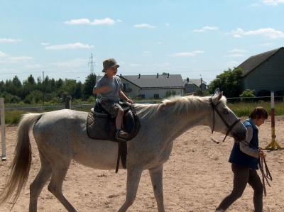 Ostatnia w tym przedszkolnym roku wycieczka Radosnych Maluchów na koniki.