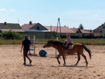 Ostatnia w tym przedszkolnym roku wycieczka Radosnych Maluchów na koniki.