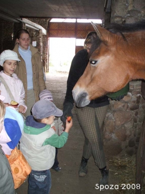 Radosne Maluchy na konikach 2008r.