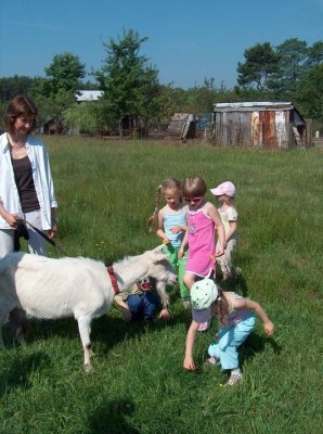 Radosne Maluchy na wycieczce do mini zoo.