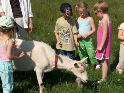 Radosne Maluchy na wycieczce do mini zoo.