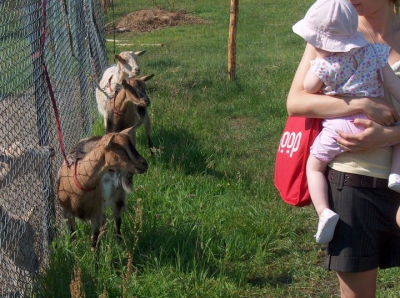 Radosne Maluchy na wycieczce do mini zoo.