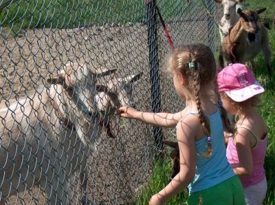 Radosne Maluchy na wycieczce do mini zoo.