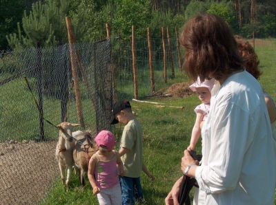 Radosne Maluchy na wycieczce do mini zoo.