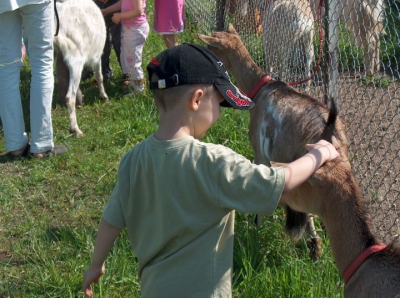 Radosne Maluchy na wycieczce do mini zoo.