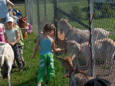 Radosne Maluchy na wycieczce do mini zoo.