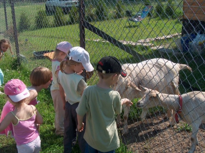 Radosne Maluchy na wycieczce do mini zoo.