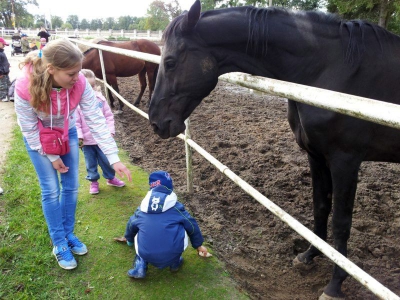 Radosne Maluchy w Stadninie Koni Ławra