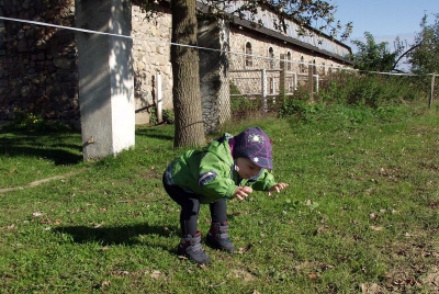 Radosne Maluchy w Stadninie Koni Ławra